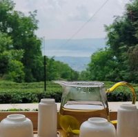 Thé Oolong Biologique Écologique du Yunnan Cangshan 2026, Vente au Détail et en Gros, Personnalisation Disponible