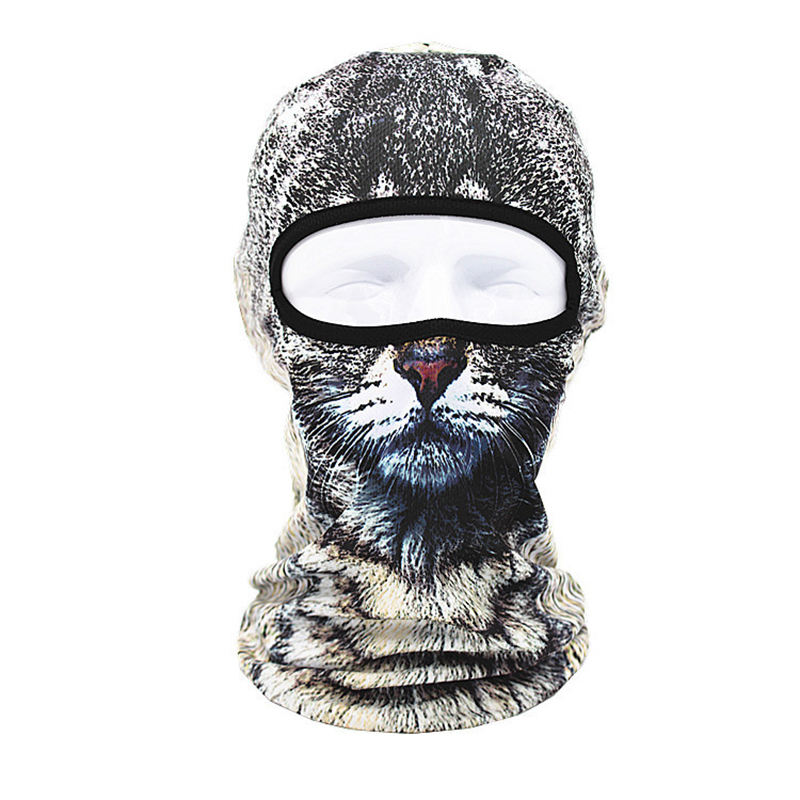 Chat noir