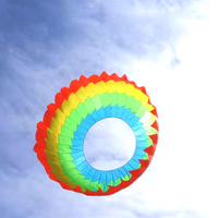 Les grands cerfs-volants de dragon de sol mou 3D sur mesure pour les compétitions de vol en plein air proviennent d'usines chinoises
