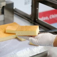 Fabricant d'équipements de découpe automatique de desserts, machine à découper les gâteaux à ultrasons pour une coupe nette et uniforme des aliments