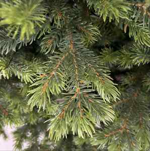 Sapin de Noël de luxe en PE 3D et PVC avec branches réalistes, de 1,5m à 2,7m, sans odeur, vente en gros pour la décoration intérieure - Product Image 3