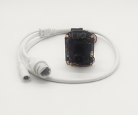 Module de Mini caméra dôme PTZ p, sans fil, avec Zoom x4, détection humaine, reconnaissance vocale bidirectionnelle, application Tuya, fourniture usine