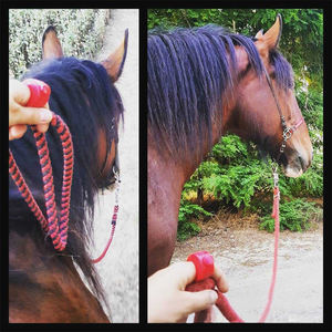 Nuevo diseño anillo de dedo silbato de entrenamiento para perros entrenador de perros profesional entrenamiento de mascotas Abs Acero inoxidable perro <span class=keywords><strong>Clicker</strong></span> - Product Image 4