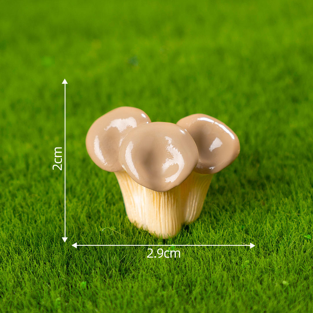 5 # Pleurotus ostreatus