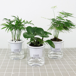 Cheap For Sale Indoor Office Round Hydroponic Transparent Clear Succulents Planter Self Watering Plastic Flower Pots