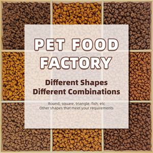 Ração Seca para Cães Sem Grãos com Alto Teor de Proteína e Sabor de Salmão para Ganho Muscular e Ingredientes Selecionados - Product Image 6