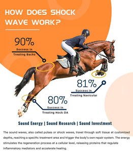 Hot Selling Equine Wave Therapy Instrument with Visual Interface for Navicular Hock OA Treatment Fast Session Time Portable Unit - Product Image 5