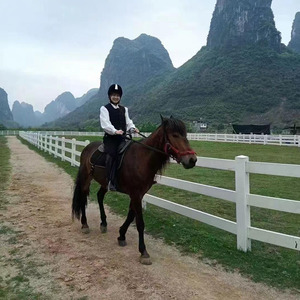 Recinzione in PVC cavallo <span class=keywords><strong>3</strong></span> rotaie Post puro vinile di plastica bianco PVC recinzione per cavallo - Product Image 4