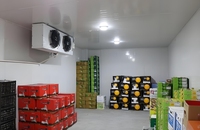 Chambre froide commerciale automatique de haute qualité avec congélateur à viande et pompe à moteur solaire Copeland
