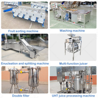 HNOC Gas Fresh Wortelsap Productiefaciliteit Kleinschalige Apparatuur voor de Verwerking van Fruitsap