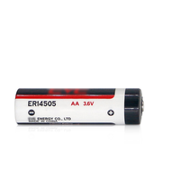 Batterie au lithium chlorure de thionyle ER14505 3,6 V 2700 mAh avec fils et connecteurs pour compteur intelligent, PLC, encodeur servo