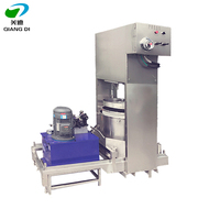 Industriële Hydraulische Oranje Ananas Cactusvijg Watermeloen Druivenwijn Bessen Vruchtensap Persmachine
