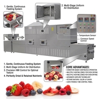 Nouvelle Machine de Séchage Alimentaire Électrique Automatique Multifonctionnelle en Acier Inoxydable à Haute Efficacité avec Bétaïne, Qualité Alimentaire, pour Micro-ondes