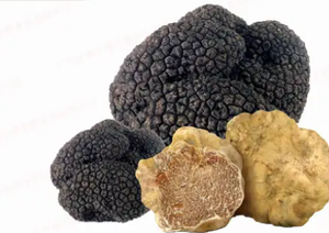 Mẫu miễn phí cho đen Truffle chiết xuất hương thơm 100% đen Truffle hương vị bản chất hương vị và hương thơm - Product Image 3