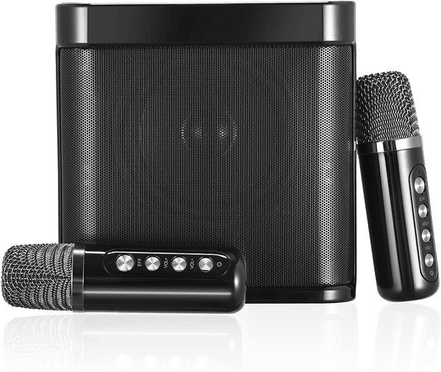 Portable Karaoke Machine with for Speaker 2 Wireless Microphones Type C Supports TF/USB-Complete Karaoke System