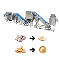 Ligne de traitement de la poudre d'ail et de la poudre de gingembre, machine de lavage et de broyage d'ail et de curcuma, prix