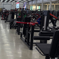 Machine Commerciale de Flexion et de Curl des Jambes en Acier pour Salle de Sport et Fitness