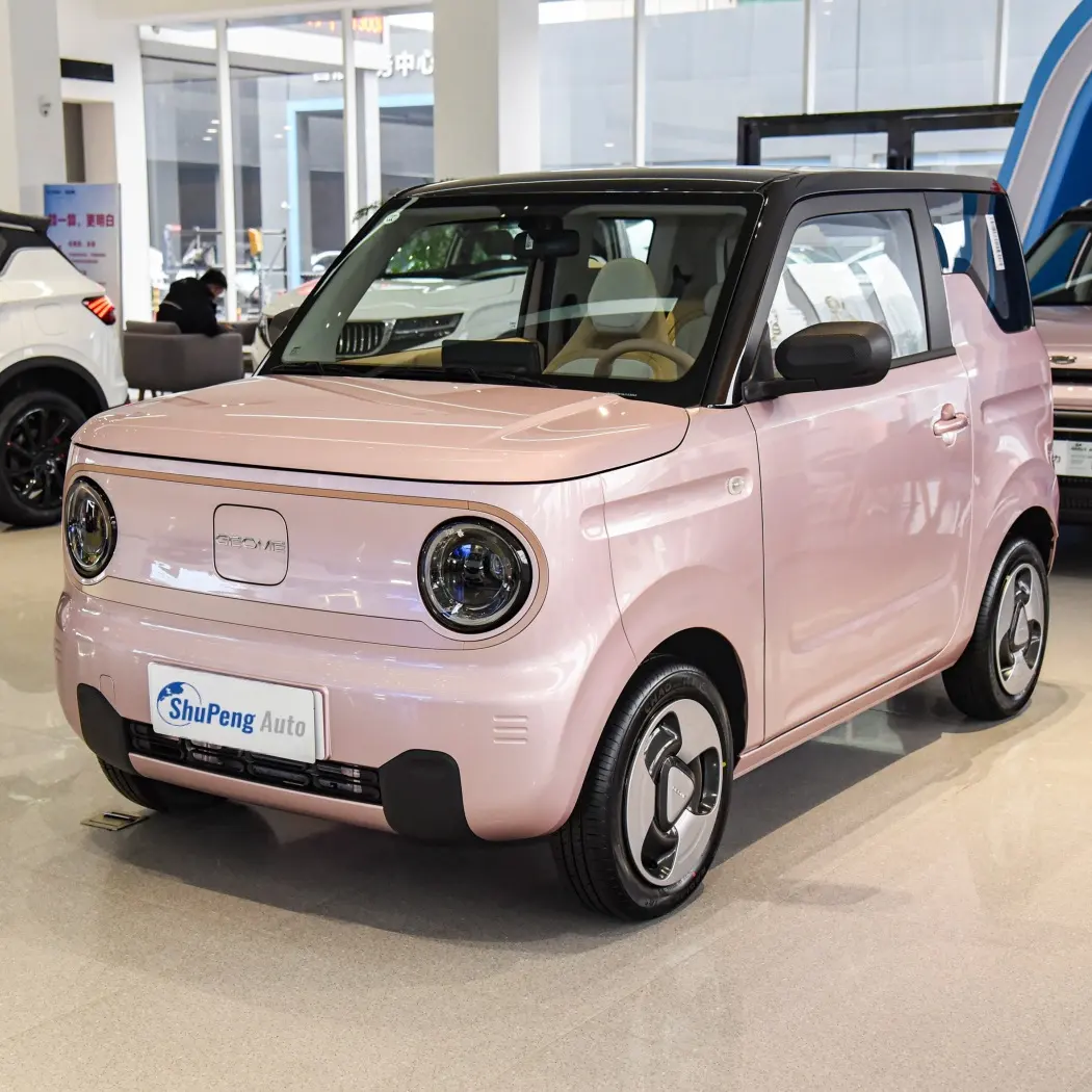 Geely Panda New Mini EV Autos Elektro Kleine Familie 4-Sitzer Elektro Mini Auto China Günstiger Preis Kleine Fahrzeuge