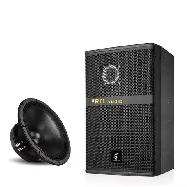 21-inch High Power Speaker 800W High Power Sound Quality Excellent Long Life Outdoor Loudspeaker