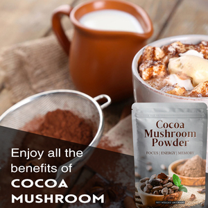 Cacao en Polvo Orgánico con Hongo Reishi, Sin Lácteos, con Coco y Hongo, para Aliviar el Estrés - Product Image 6