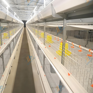 Équipement de poulailler personnalisé en gros <span class=keywords><strong>Cage</strong></span> à poulets de chair entièrement automatique - Product Image 4