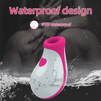 Großhandel Mini-Sauger Weiblicher Nippel-Klitoris-Vibrator für Erwachsene
