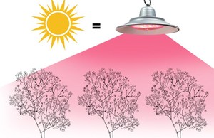 Bán buôn SMD2835 4000K 6500K dẫn thúc đẩy hoa đèn quang phổ đầy đủ 50W <span class=keywords><strong>80W</strong></span> UFO dẫn phát triển ánh sáng cho trái cây hoa - Product Image 4