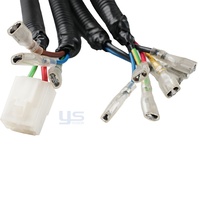 Fabricant de faisceaux de câblage moteur automobile sur mesure, faisceau de câblage principal du véhicule, faisceau de câblage électrique automobile personnalisé AMP, usine de faisceaux de câblage électrique automobile