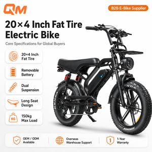 Bicicleta eléctrica QMWHEEL V20 Limited 48V, bicicleta eléctrica urbana, bicicleta eléctrica con batería de litio, bicicleta eléctrica todoterreno para distribuidores B2B - Product Image 1