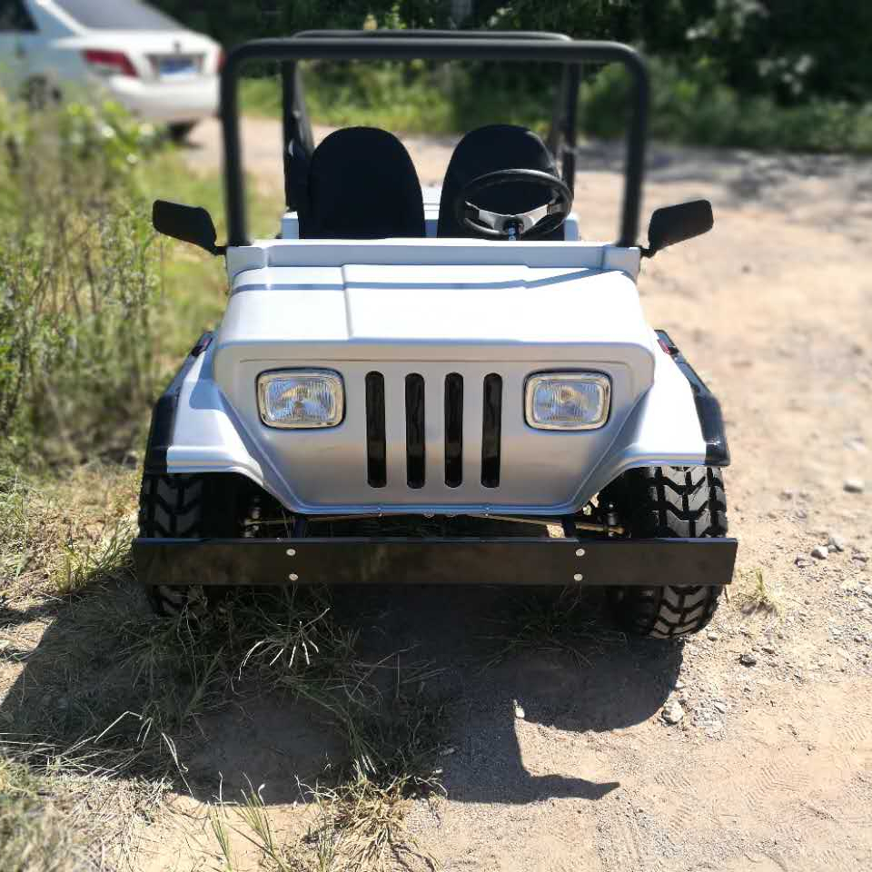 2022 Электрический мотоцикл UTV багги автомобиль Детский Atv 1500 Вт мини-джип