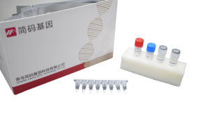 Nucleïnezuurdetectiekit voor rundergeleide ingrediënten, dierlijke ingrediënten, isotherme fluorescentie, 30 min, 48 tests/kit - Product Image 2