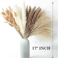Bouquet de fleurs séchées avec graines d'herbe de la pampa et queue de lapin 100 PCS pour décoration de table de maison de mariage Noël et remise des diplômes-Style Boho