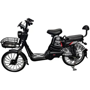 סוללה 48V מנוע Carrier גדול Off הזזה 750W ערכות הכפול 5000W Ebike מסגרת 1000W צופר 20 אינץ אופניים חשמליים קטנוע