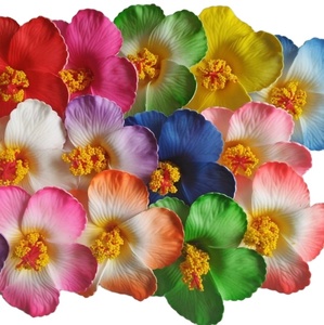 Lot 10 Mini Pinces à Cheveux Perlées – Motif Floral – Blanc – Mariage Fille