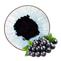 Poudre de fruits d'açaï pure OEM, couleur intense, pour la formulation de boissons et de produits de boulangerie, utilisation dans l'industrie alimentaire, usine source