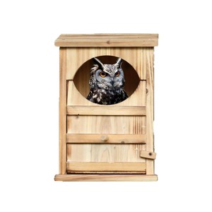 Caja de nido para búhos de madera, color madera natural, casa para pájaros duradera para exteriores, para búhos y loros - Product Image 1