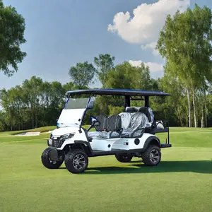 오프로드 4 륜 모터 드라이브 골프 카트 클럽 카 6 시트 리튬 배터리 48v 전기 골프 카트 버기 판매