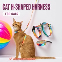 Ensemble Harnais et Laisse pour Chat Anti-Évasion Type H Réglable Respirant pour Chatons Petits Chats Promenade en Extérieur