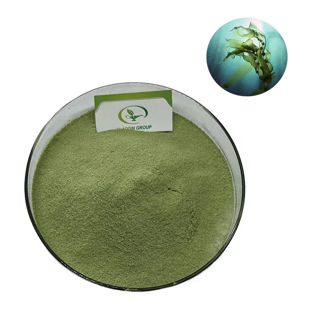 GMP Offre Spéciale produits d'algues séchées de haute qualité poudre d'algues vertes