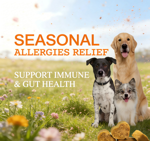 Probiotiques OEM Allergy&Immune pour chiens, santé de la peau et du pelage, comprimés à mâcher quotidiens pour la digestion intestinale, complément alimentaire naturel pour animaux de compagnie - Product Image 2