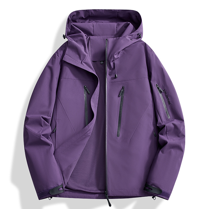 Viola