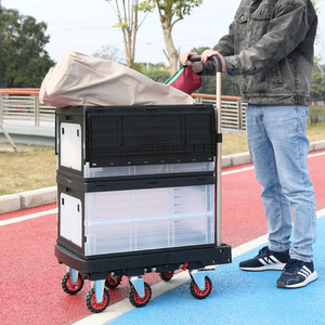 Carro de equipaje de PP Carro de plataforma plegable portátil Carro de mano - Product Image 4