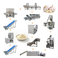 Groothandelsprijs Ui- en Knoflookpoedermachine Gember-ui-knoflook-poeder-maakmachine Knoflookverwerkingsmachines