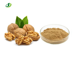 Hot bán hạt óc chó chiết xuất bột 20:1 TLC - Product Image 1