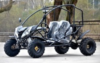 Kart électrique pour adultes, double place, buggy de plage, 4x4, moto tout-terrain, véhicule de location pour sites événementiels, 1500W, 40km/h