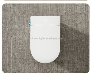 Cuvette <span class=keywords><strong>de</strong></span> <span class=keywords><strong>toilette</strong></span> intelligente en céramique blanche <span class=keywords><strong>de</strong></span> luxe moderne pour personnes âgées avec télécommande pour les toilettes du <span class=keywords><strong>club</strong></span> des personnes âgées ensuite. - Product Image 2