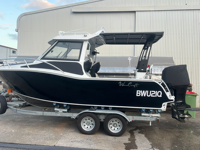 Bateaux de pêche à cabine Speed Profisher de nouvelle marque 2026 avec aluminium 5083 pour la pêche en mer, bateau de 6 mètres avec remorque