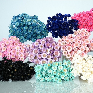 LUYI - Vente en gros de petites fleurs séchées naturelles brésiliennes, mini marguerites séchées pour la fête des mères, la Saint-Valentin, Pâques - Product Image 5