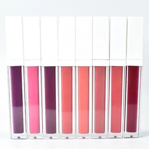 Brillant à lèvres OEM personnalisé Private Label Lips Liquid Matte Lipstick Lipgloss