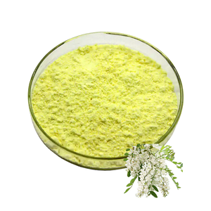 Ekstrak Sophora Japonica alami berkualitas tinggi 95% bubuk Quercetin 98% - Product Image 3